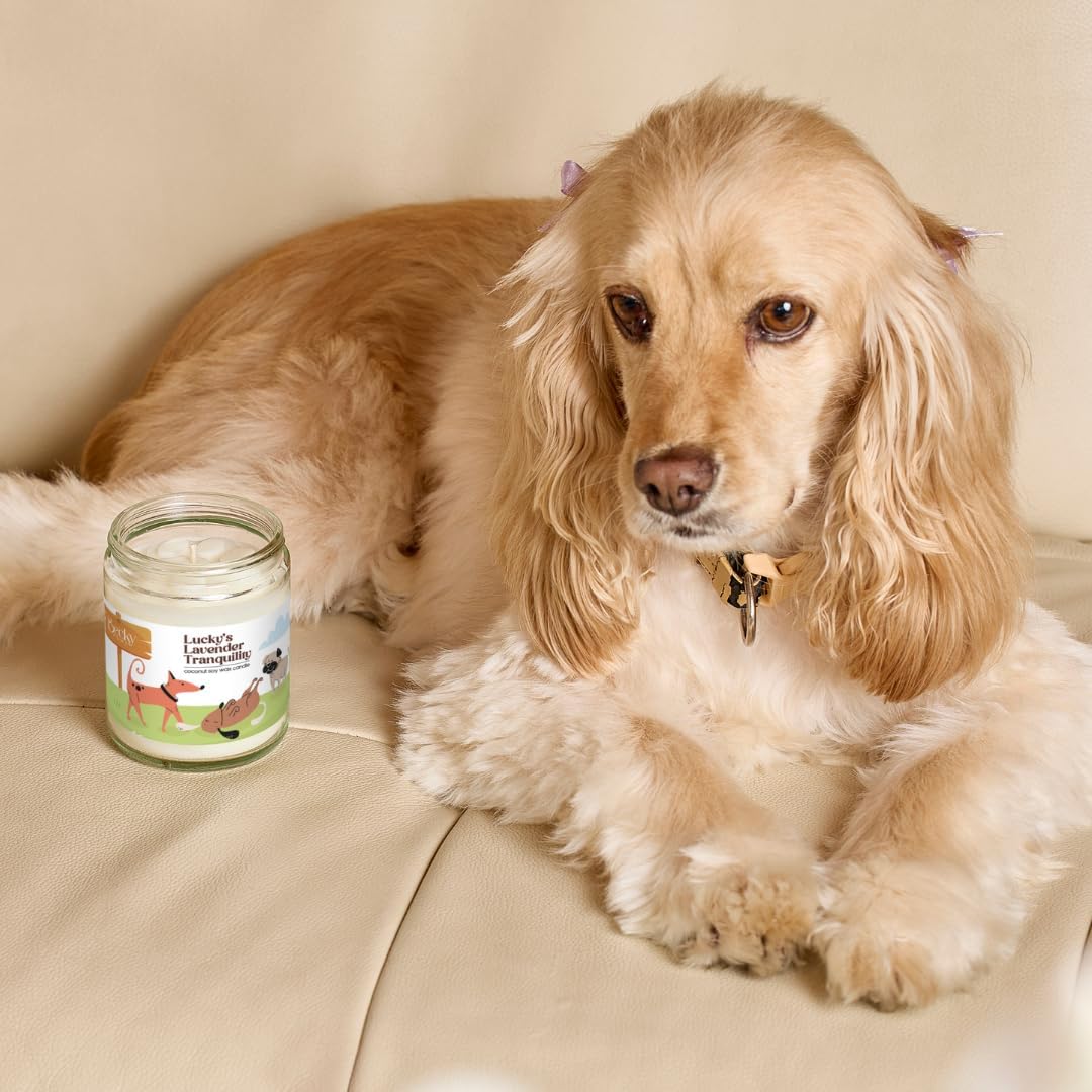 9oz Pet Odor Eliminator Deodorizer Candle, Long-Lasting Lavender Scented, Non Toxic, Natural Plant-Based Wax Blend