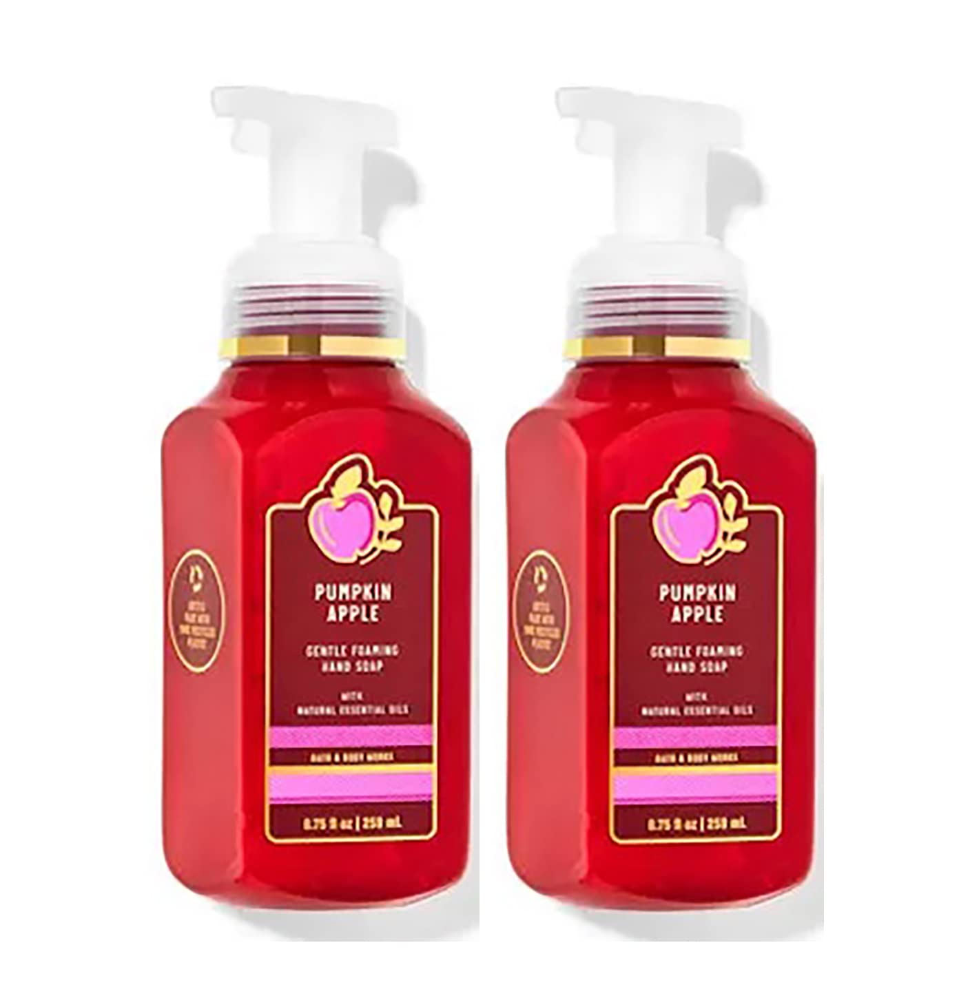 Bath & Body Works Assorted 5 Pack Gentle Foaming Hand Soap