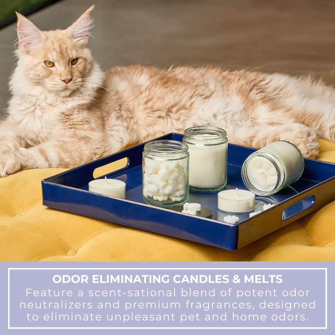 9oz Pet Odor Eliminator Deodorizer Candle, Long-Lasting Lavender Scented, Non Toxic, Natural Plant-Based Wax Blend