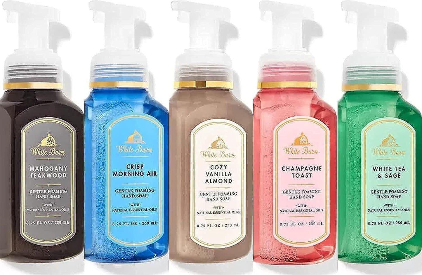 Bath & Body Works Assorted 5 Pack Gentle Foaming Hand Soap
