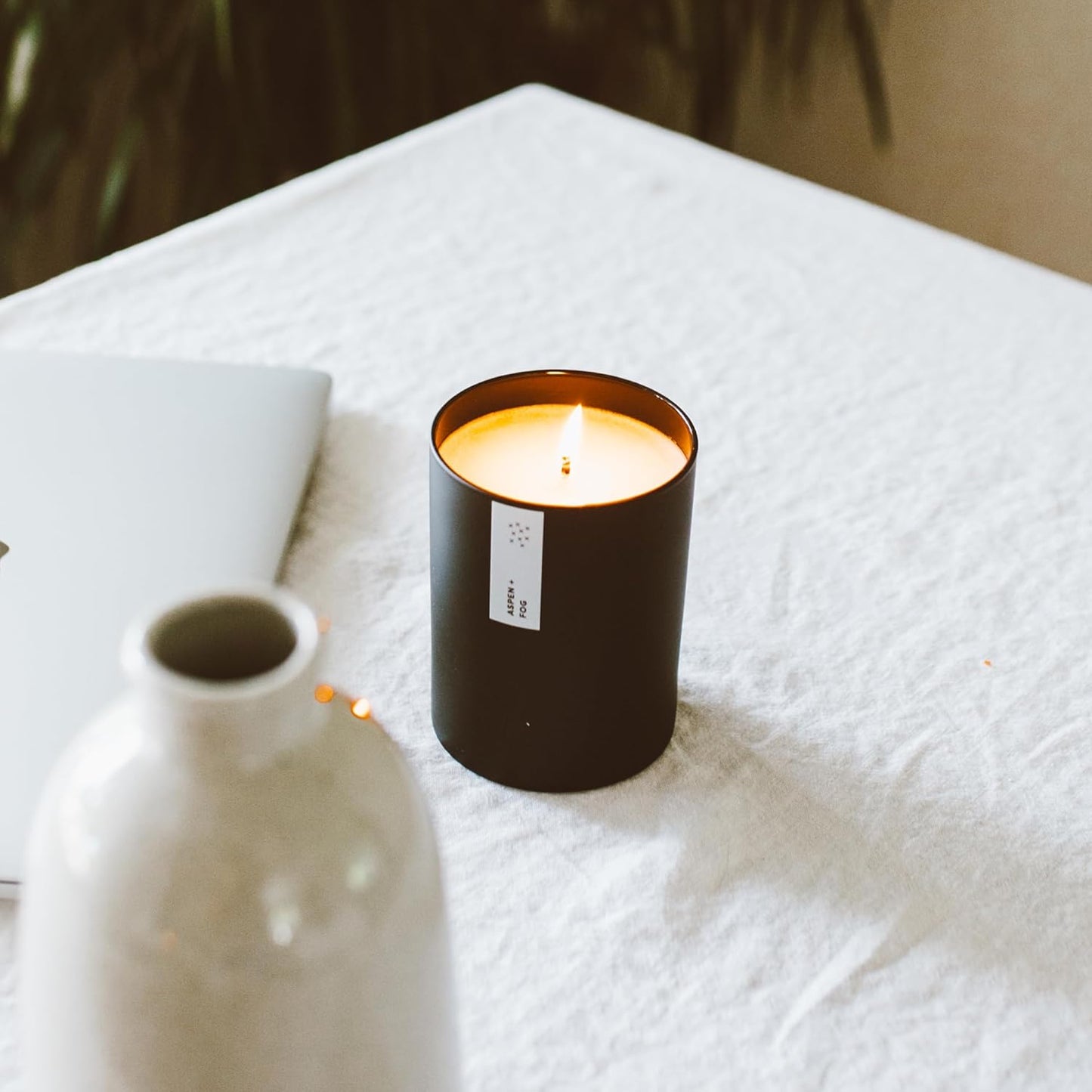 Calyan Wax Co. Aspen & Fog Scented Candle - 75 Hour Burn - Luxury Non Toxic Soy Wax Candles - Long Lasting Black Tumbler Jar Candle for Home - 10.2oz