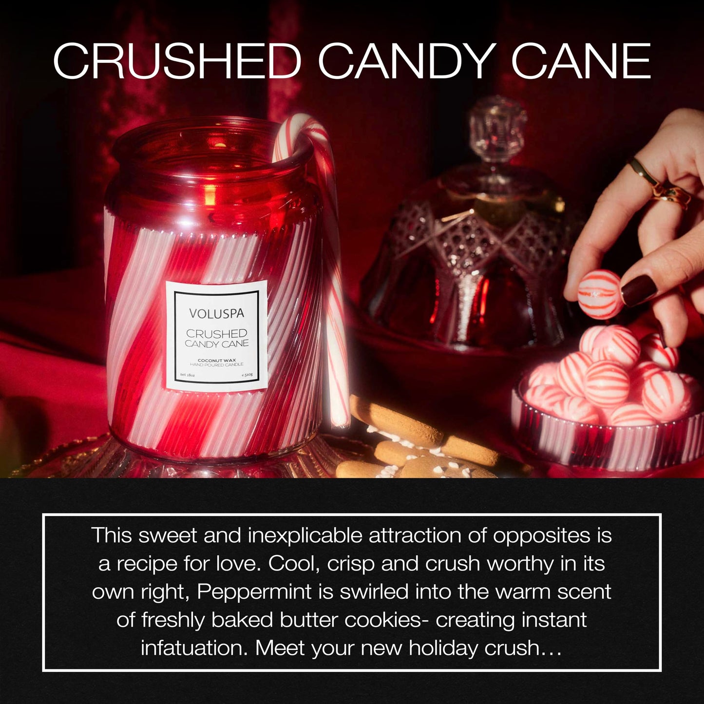 Voluspa Goji Tarocco Orange Candle, 18 oz, Coconut Wax Blend, Scented Candles for Home, 100 Hour Burn Time, Candle Jars