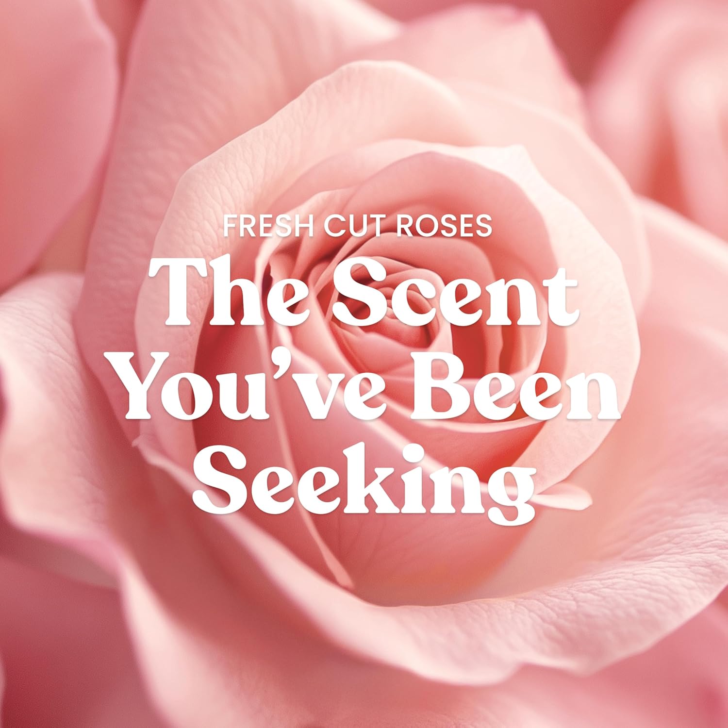 Yankee Candle Fresh Cut Roses, Scented Candle, 22oz Large Jar with up to 150 Hour Burn Time, Giftable